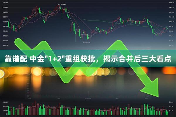 靠谱配 中金"1+2"重组获批，揭示合并后三大看点