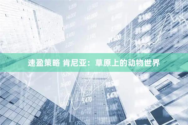 速盈策略 肯尼亚：草原上的动物世界