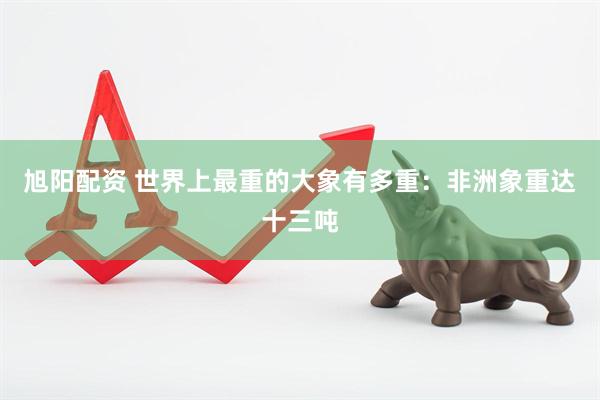 旭阳配资 世界上最重的大象有多重：非洲象重达十三吨