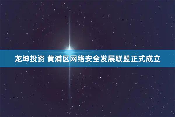 龙坤投资 黄浦区网络安全发展联盟正式成立