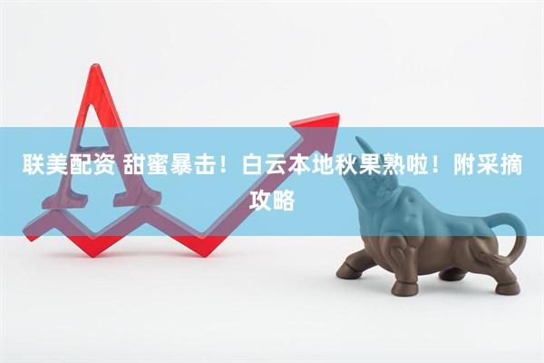 联美配资 甜蜜暴击！白云本地秋果熟啦！附采摘攻略